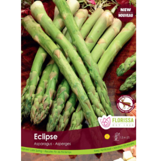Asparagus Roots 'Eclipse'