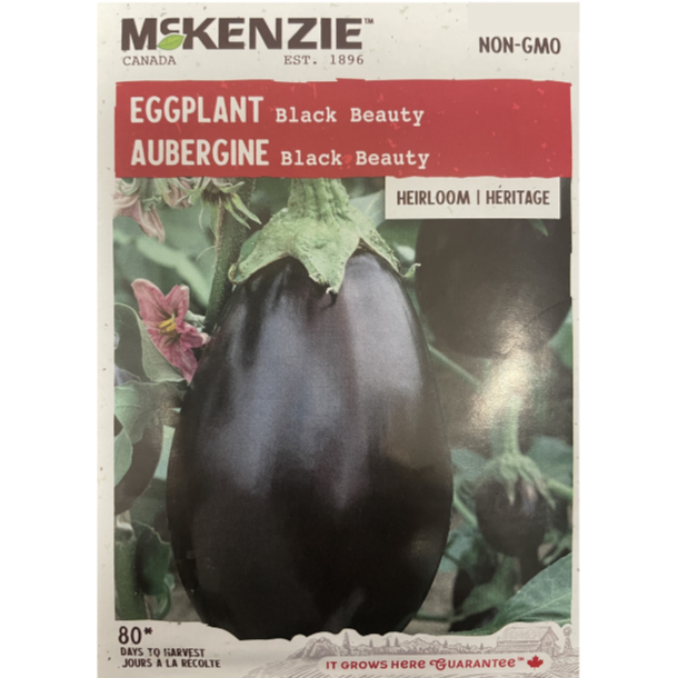 McKenzie Seed Eggplant Black Beauty Pkg