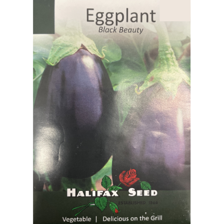 Halifax Seed Eggplant Black Beauty
