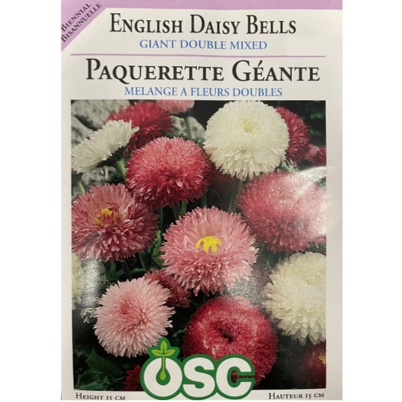 OSC Seeds English Daisy Bells Pkg