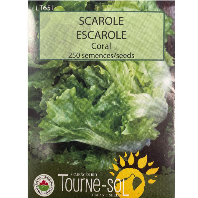 Tourne-Sol Escarole Coral Pkg.