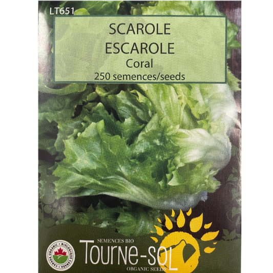 Tourne-Sol Escarole Coral Pkg.
