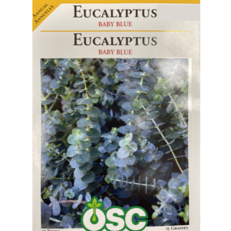 OSC Seeds Eucalyptus Baby Blue