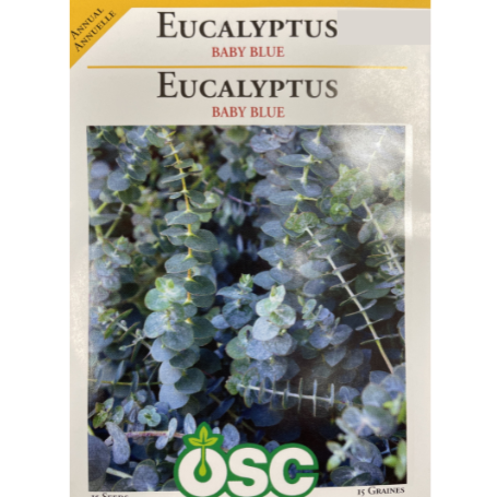 OSC Seeds Eucalyptus Baby Blue Pkg.