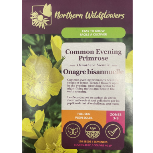 Northern Wildflowers Common Evening Primrose Pkg