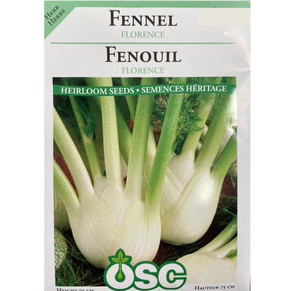 OSC Seeds Fennel Florence