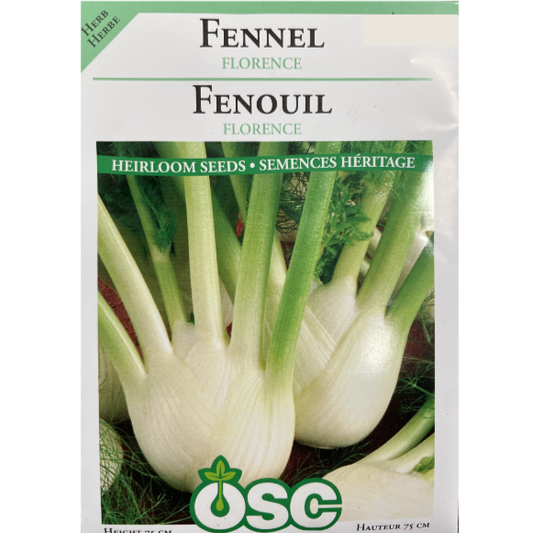 OSC Seeds Fennel Florence