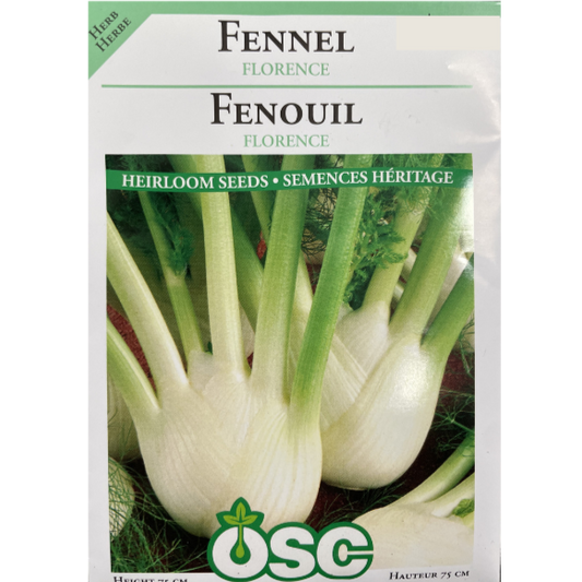 OSC  Herb Seeds Fennel Florence Pkg.