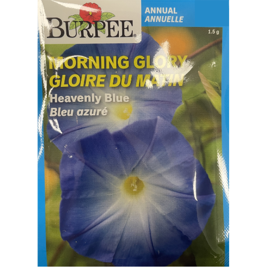 Burpee Seeds Morning Glory Heavenly Blue