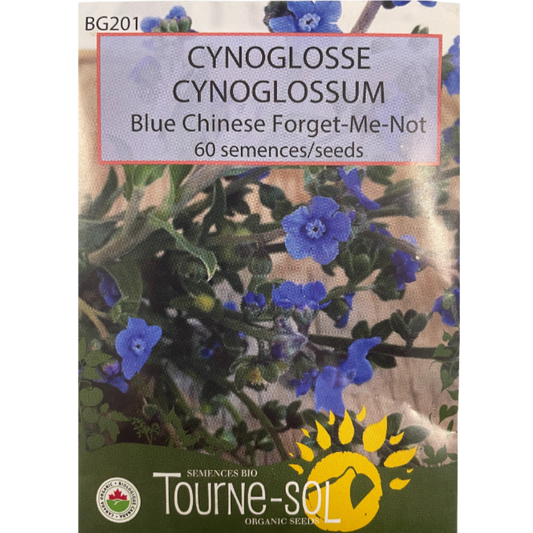 Tourne-Sol Forget-Me-Not Cynoglossum Blue Chinese Pkg