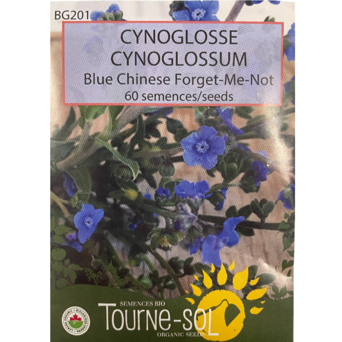 Tourne-Sol Forget-Me-Not Cynoglossum Blue Chinese Pkg