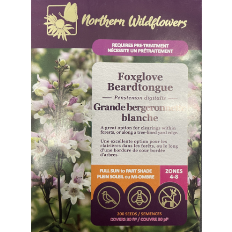 Northern Wildflowers Foxglove Beardtongue Pkg