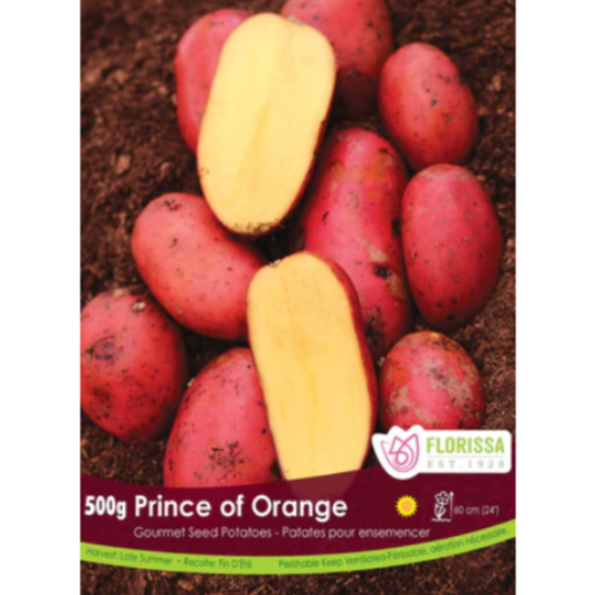 Seed Potatoes Prince of Orange 500g