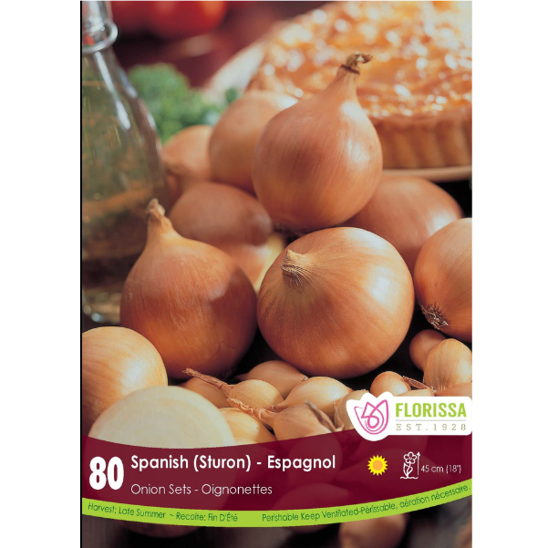 Bulbs Onion Spanish Sets 80/Bag
