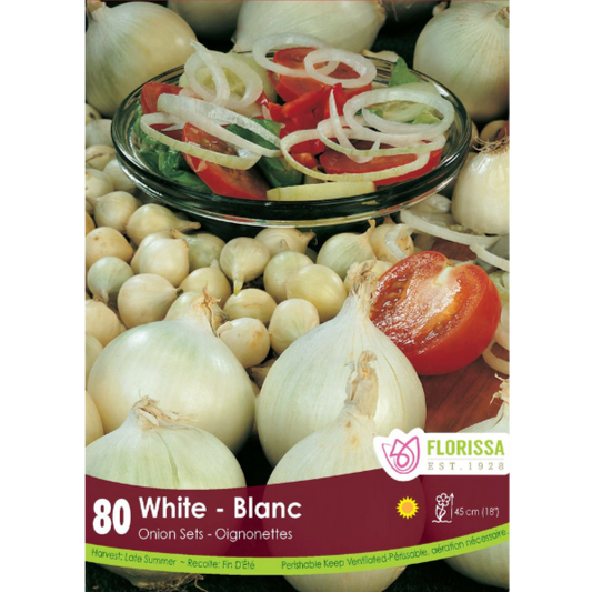 Bulbs Onion White Sets 80/Bag