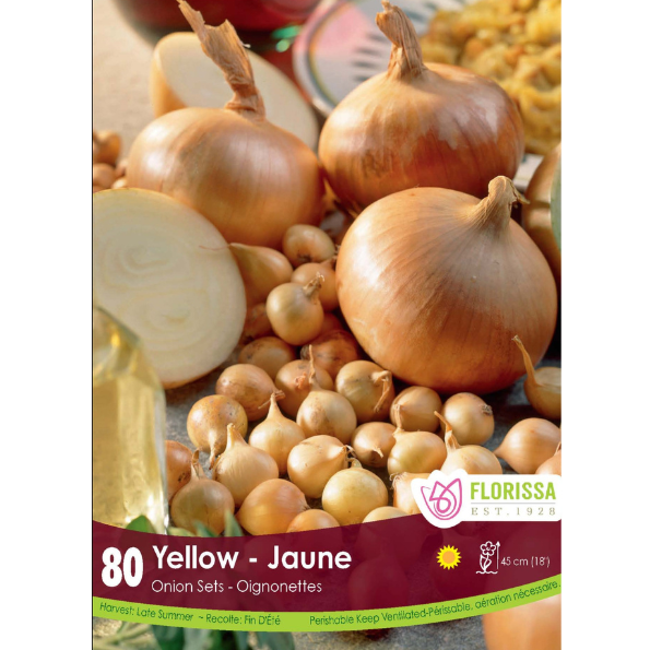 Bulbs Onion Sets Yellow/Stuttgard 80/Bag