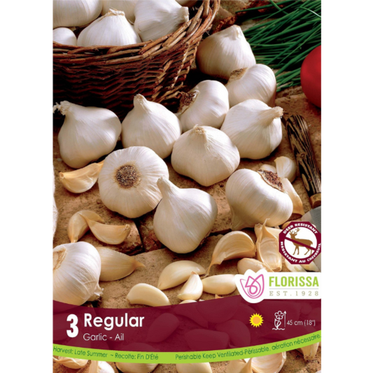 Garlic Regular White 3/pkg