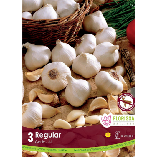 Bulbs Garlic Regular White 3/Pkg.