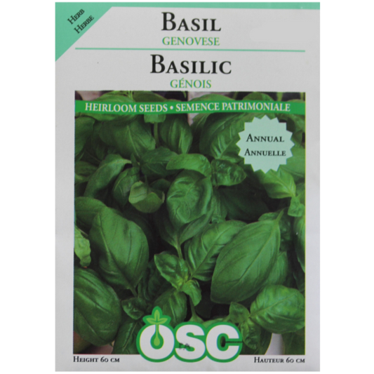 OSC Seeds Basil Genovese