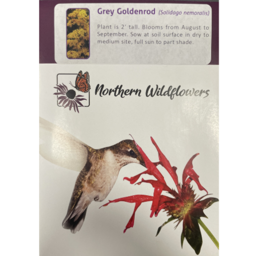 Northern Wildflowers Grey Goldenrod Pkg