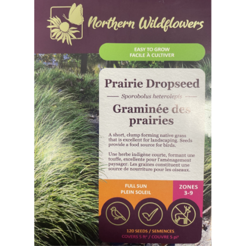 Northern Wildflowers Prairie Dropseed Pkg