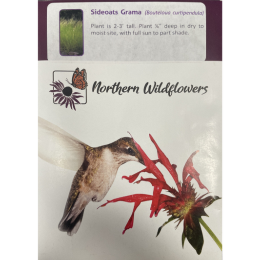 Northern Wildflowers Sideoats Grama Pkg.