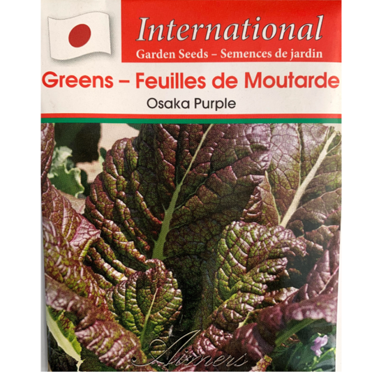 Aimers International Greens Osaka Purple Pkg.
