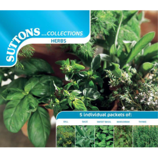 Suttons Seed Herb Collection