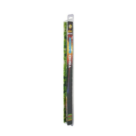 T5 Light 3' Replacement Bulb - 6400K Sunblaster