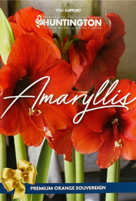 Amaryllis Huntington Society