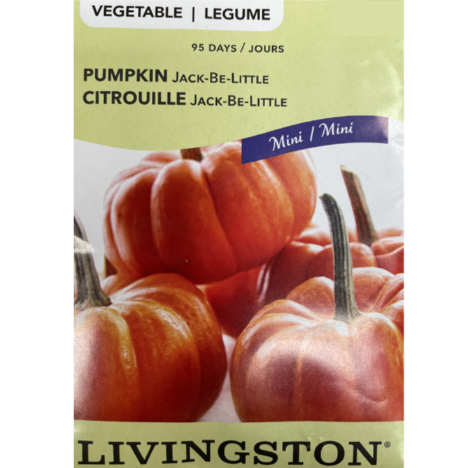 Livingston Seeds Pumpkin Jack-Be-Little Pkg