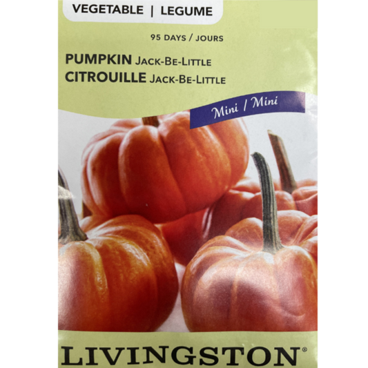 Livingston Seeds Pumpkin Jack-Be-Little Pkg