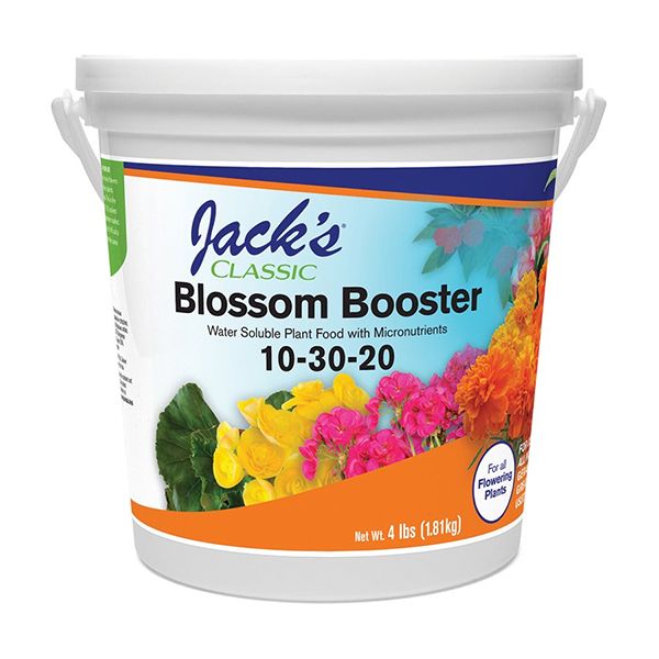 Blossom Booster 10-30-20