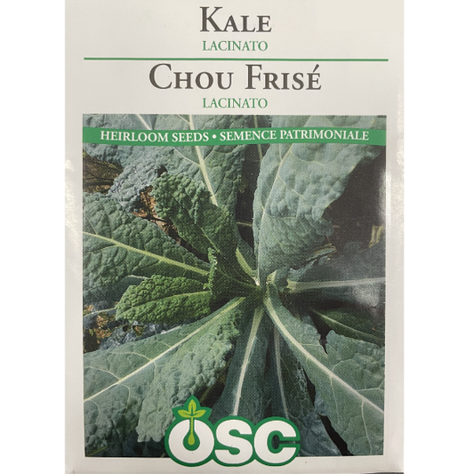 OSC Seeds Kale Lacinato Pkg