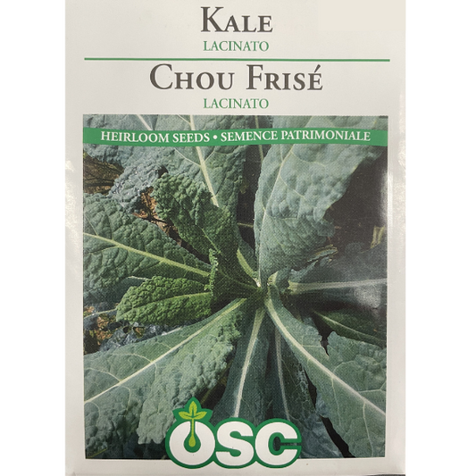 OSC Seeds Kale Lacinato Pkg.