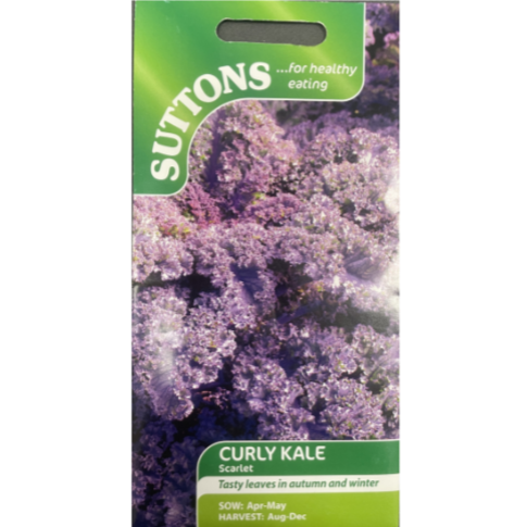 Suttons Seed Kale Curly Scarlet Pkg.
