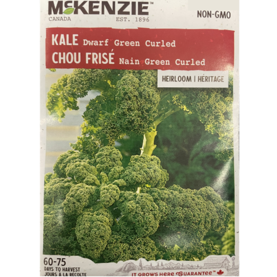McKenzie Seed Kale Dwarf Green Curled Pkg