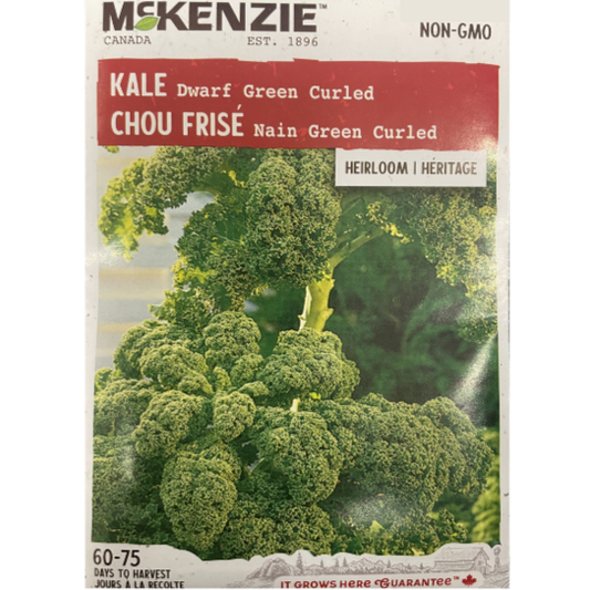 McKenzie Seed Kale Dwarf Green Curled Pkg.