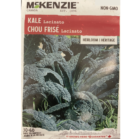 McKenzie Seed Kale Lacinato Pkg