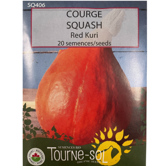 Tourne-Sol Squash Red Kuri Pkg