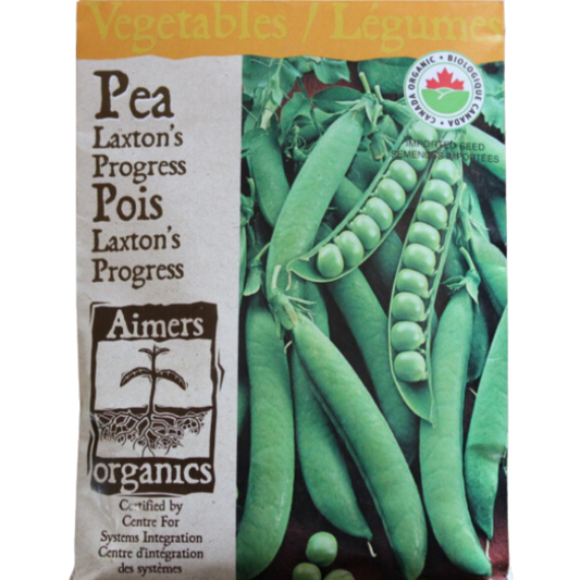 Aimers Organics Pea Laxton's Progress