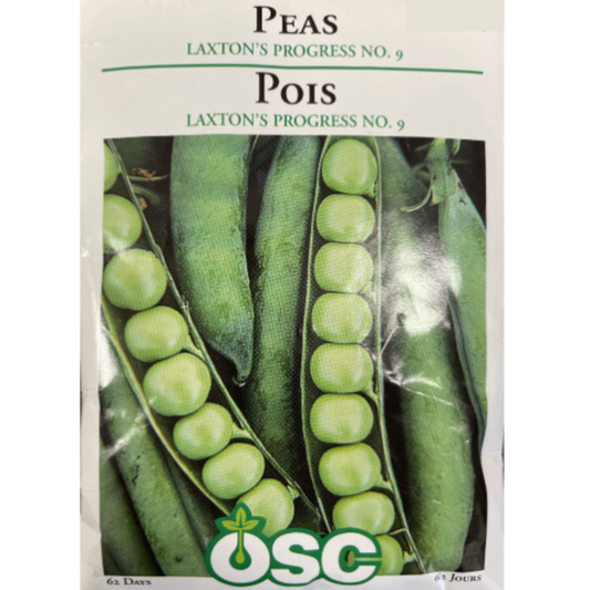 OSC Seeds Pea Laxton's Progress No.9
