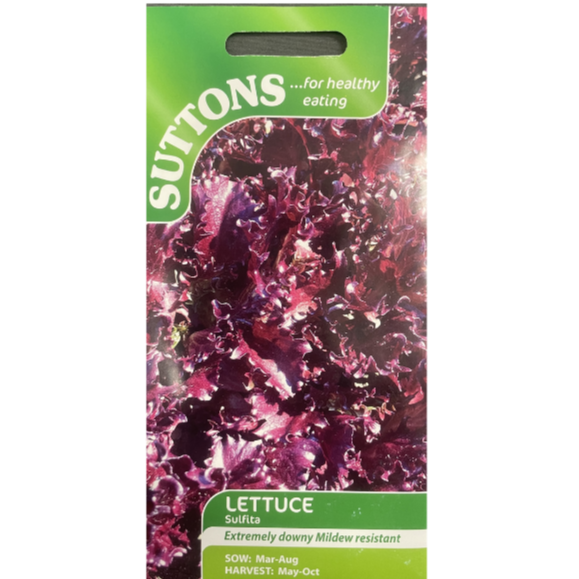 Suttons Seed Lettuce Sulfita