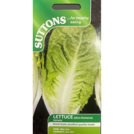 Suttons Seed Lettuce Xanadu