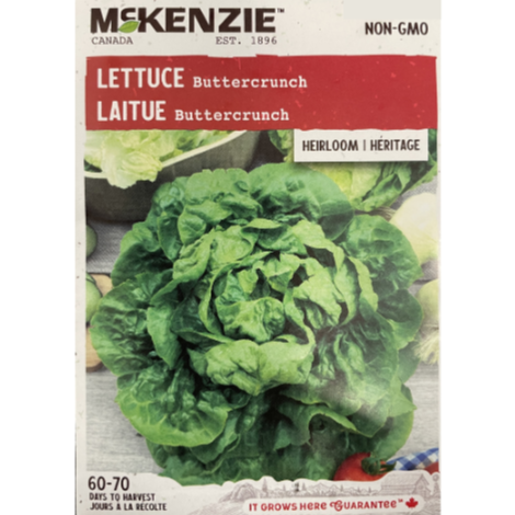 McKenzie Seed Lettuce Buttercrunch Pkg