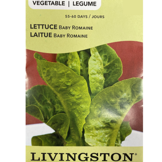 Livingston Seeds Lettuce Baby Romaine Pkg