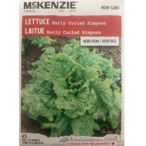 McKenzie Seed Lettuce Early Curled Simpson Pkg
