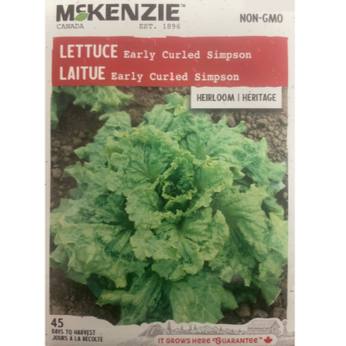 McKenzie Seed Lettuce Early Curled Simpson Pkg.