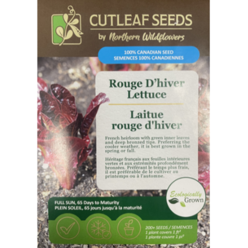 Northern Wildflowers Rouge D'hiver Lettuce Pkg