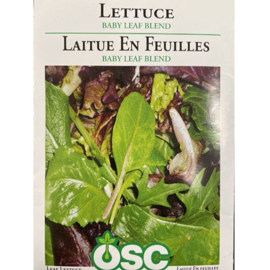 OSC Seeds Lettuce Baby Leaf Blend Pkg.